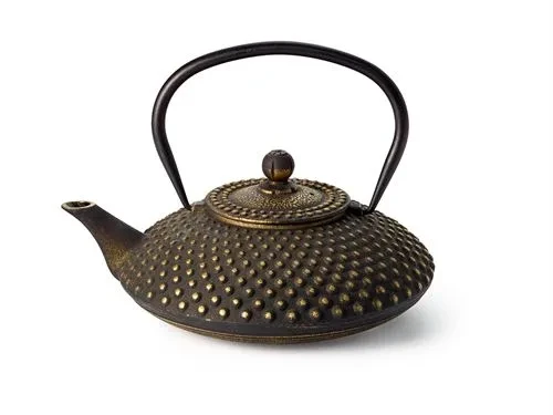 Ironware Teapot "Xiamen"