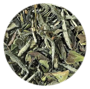 Pai Mu Tan - Organic white tea China