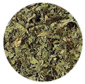 Peppermint, cut